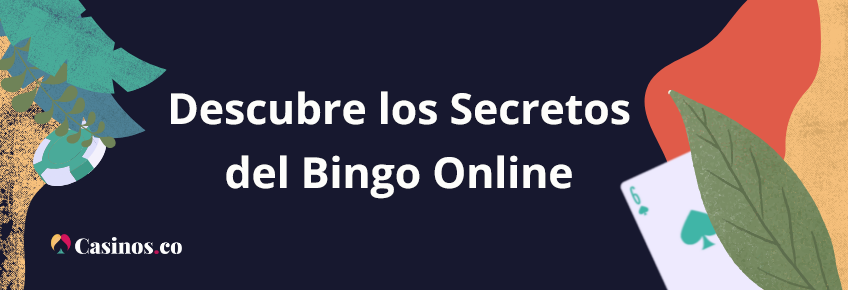 Aprende a jugar bingo online